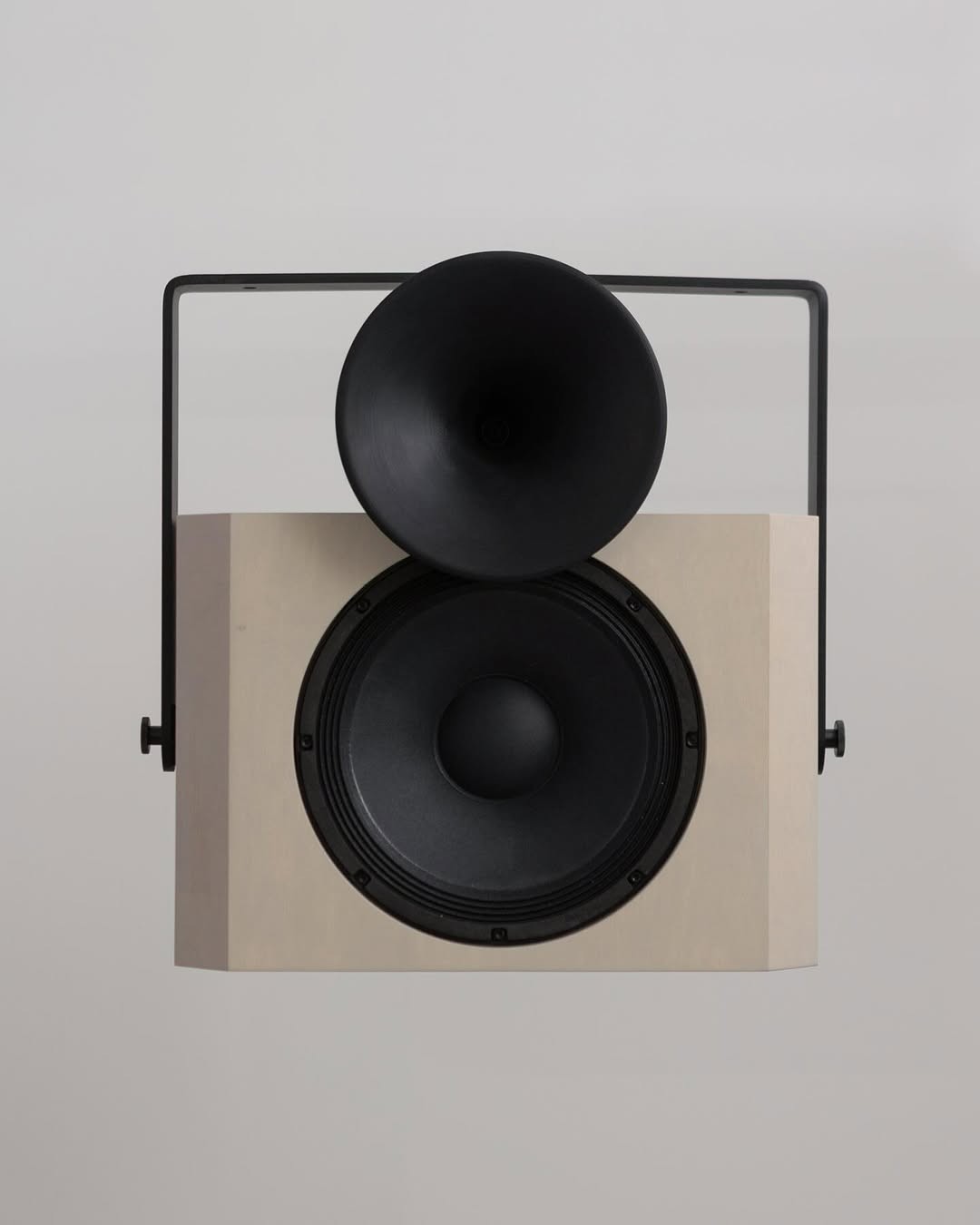 woodspeaker2